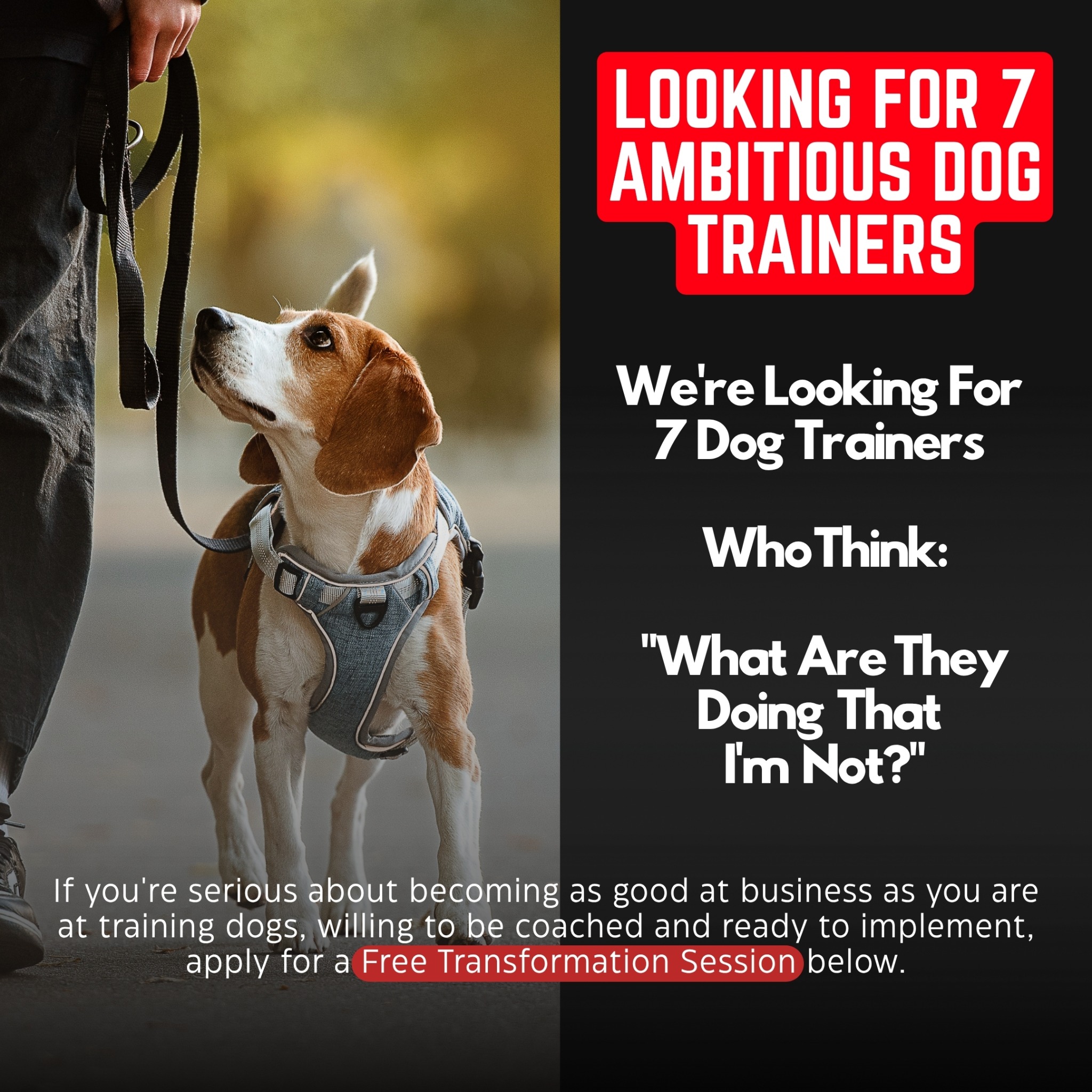 Canine Conversions Facebook ad