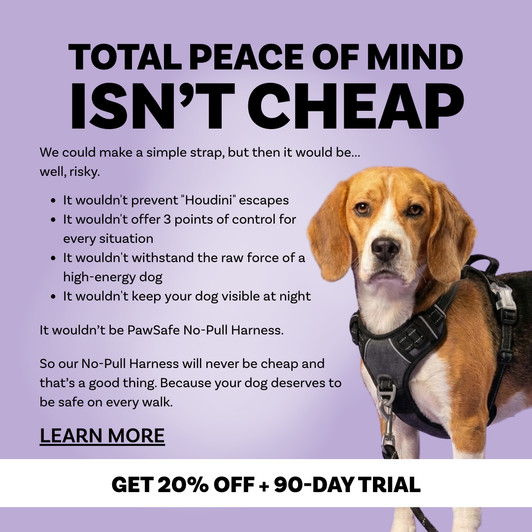 PawSafe Facebook ad