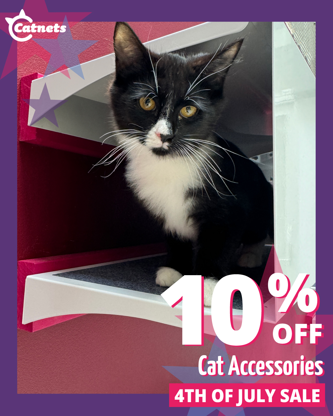 Catnets USA Facebook ad