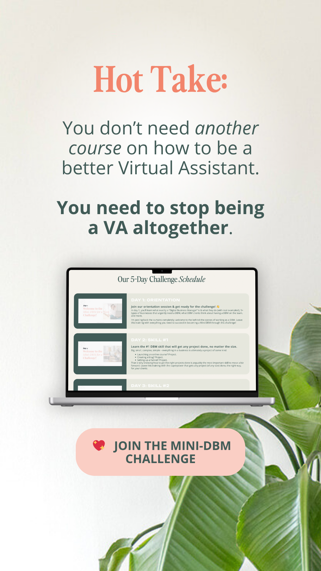DBM Bootcamp Facebook ad