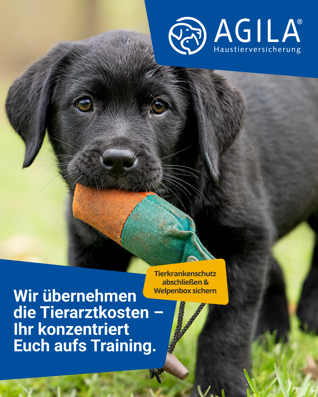 AGILA Haustierversicherung Facebook ad