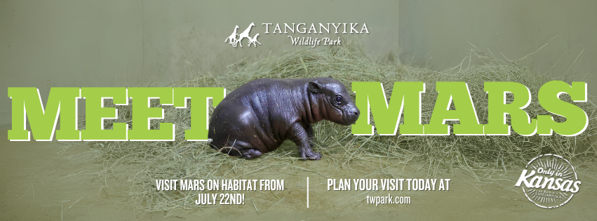 Tanganyika Wildlife Park Facebook ad
