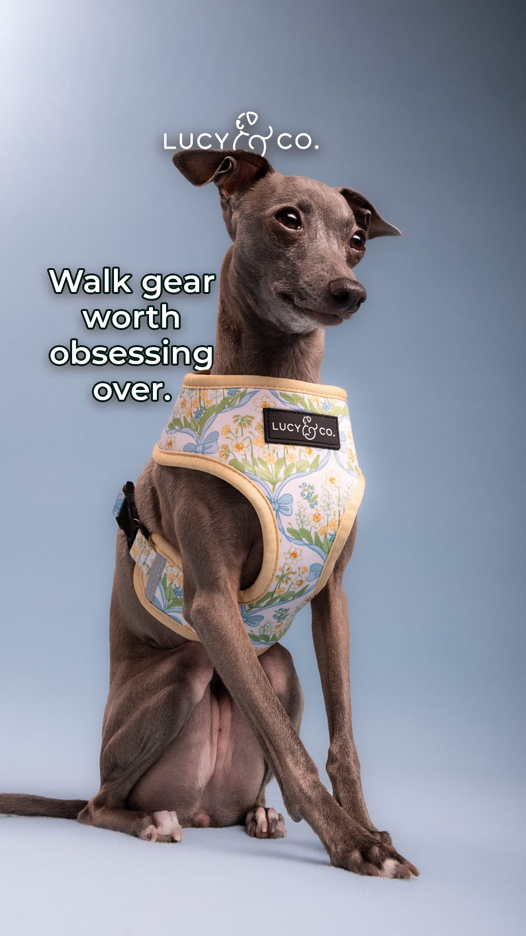 Lucy & Co. Facebook ad