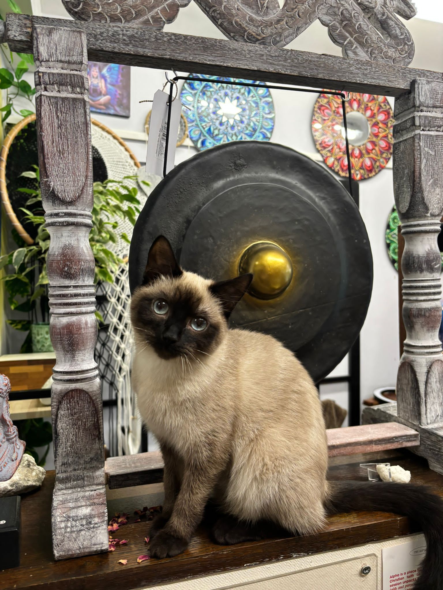 Axis Mundi Mystic and Holistic Emporium Facebook ad: Making life feel magical!