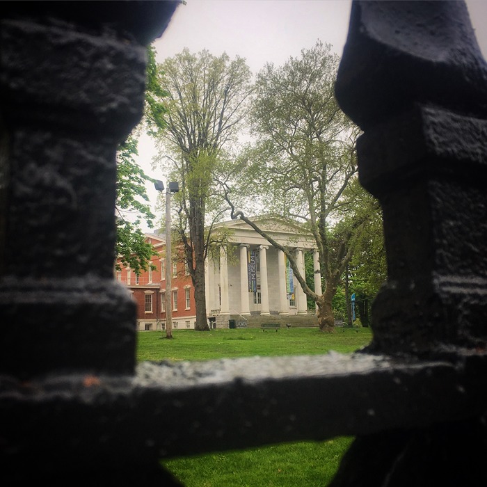 Snug Harbor Cultural Center and Botanical Garden Facebook ad: Trees of Snug Harbor Walk