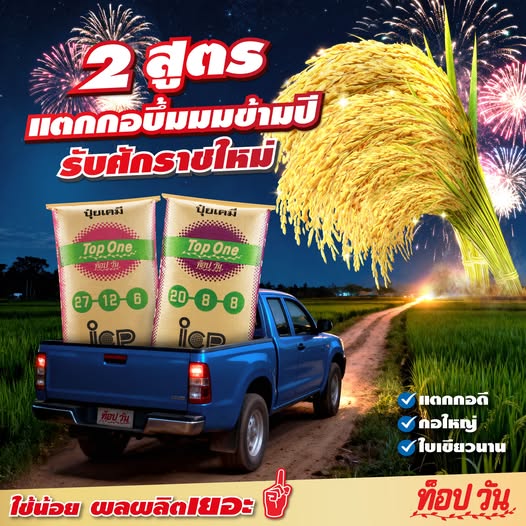ปุ๋ยท็อปวัน - ใช้น้อย ผลผลิตเยอะ Facebook ad: ข้าวแตกกอบึ้มมมข้ามปี