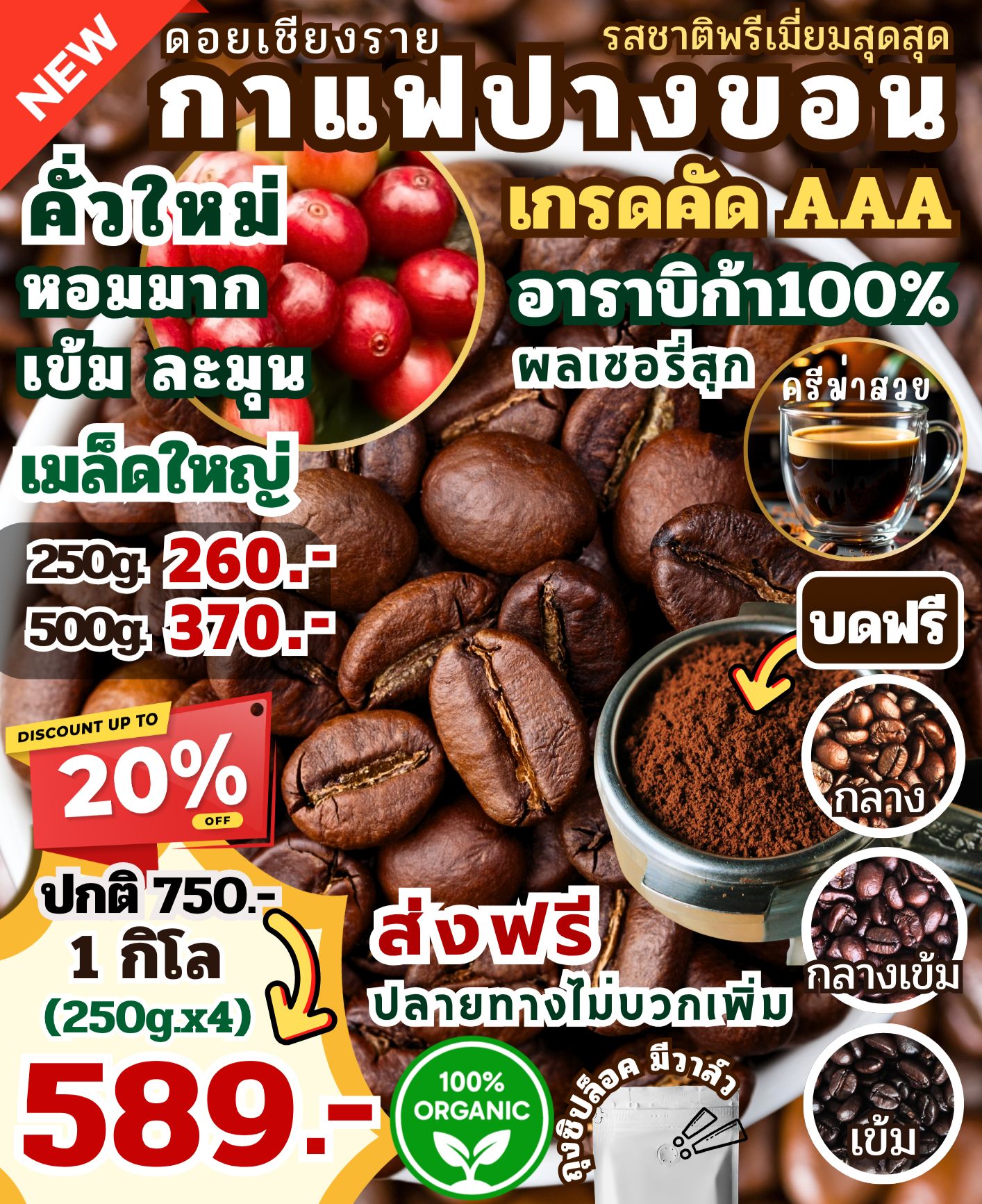 Doi Northern Premium Roasted Coffee กาแฟดอยเหนือพรีเมี่ยม Facebook ad: กาแฟดอยปางขอน เกรดคัด AAA เมล็ดใหญ่ คั่วใหม่