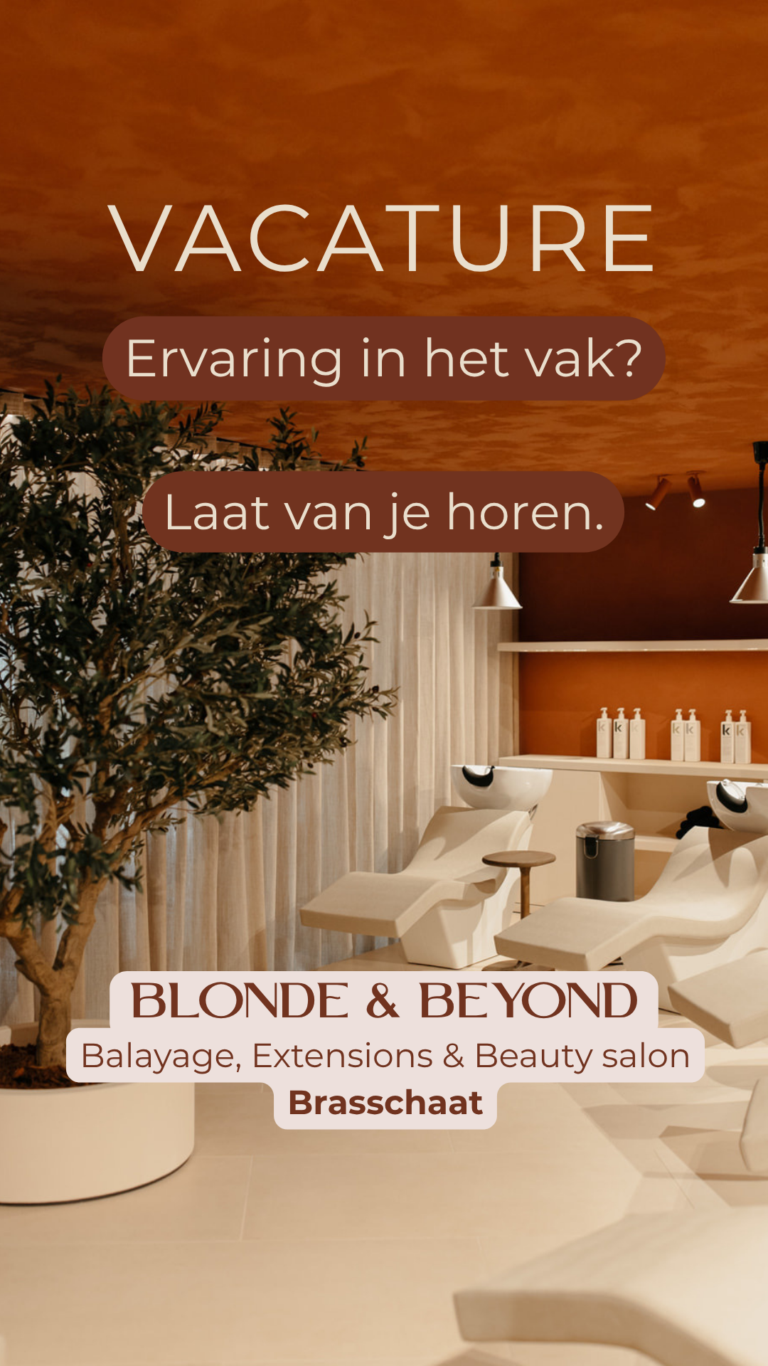 Blonde and beyond Brasschaat Facebook ad