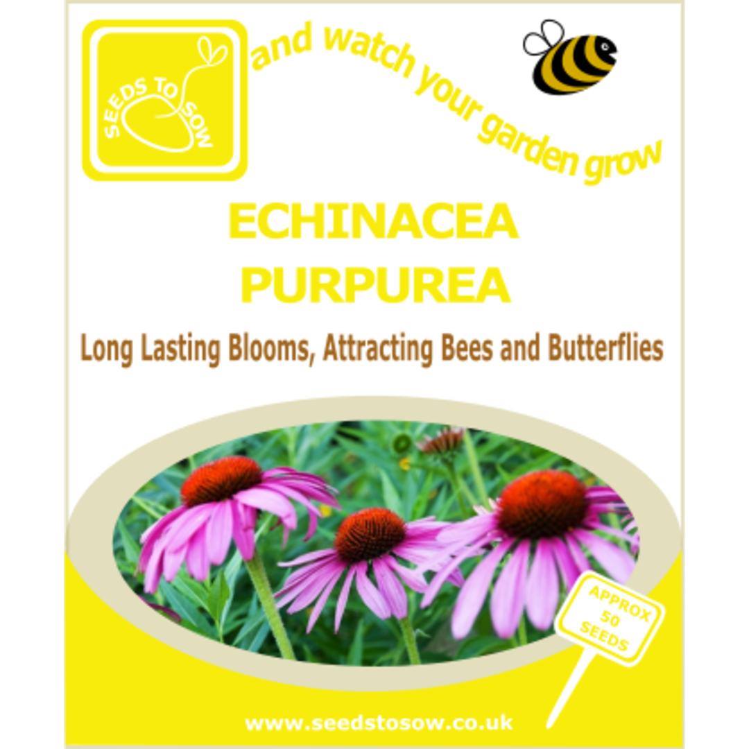 Seeds to Sow Ltd Facebook ad: Small varieties from just 55p