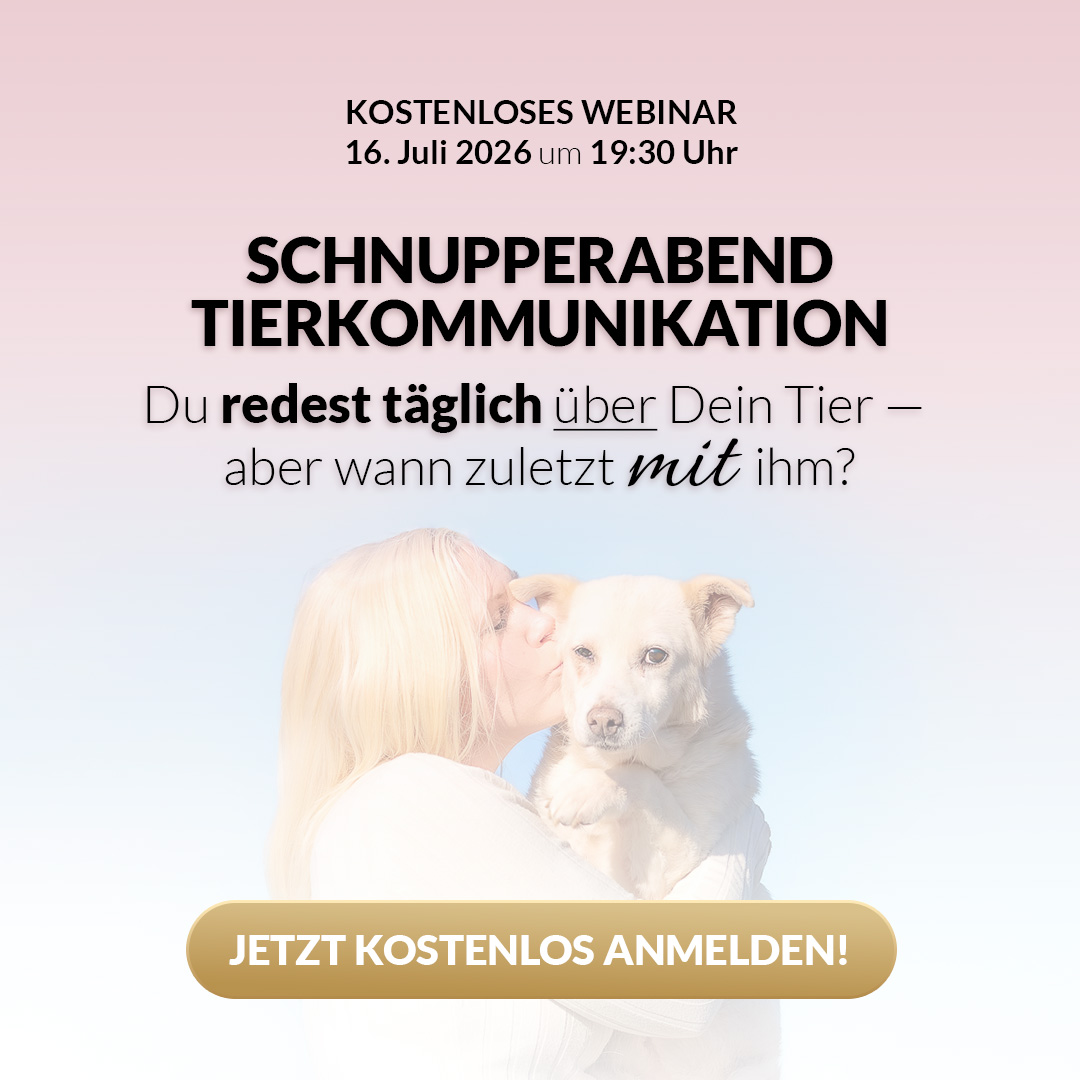 Tierkommunikation Lisa-Maria Kastenberger Facebook ad