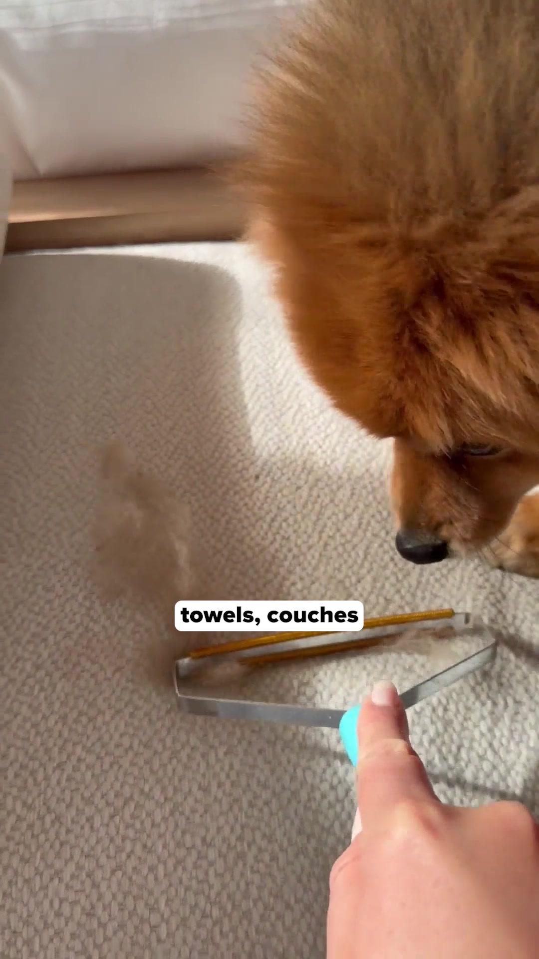 Uproot Clean Facebook ad: That musty smell in your house isn't your…
