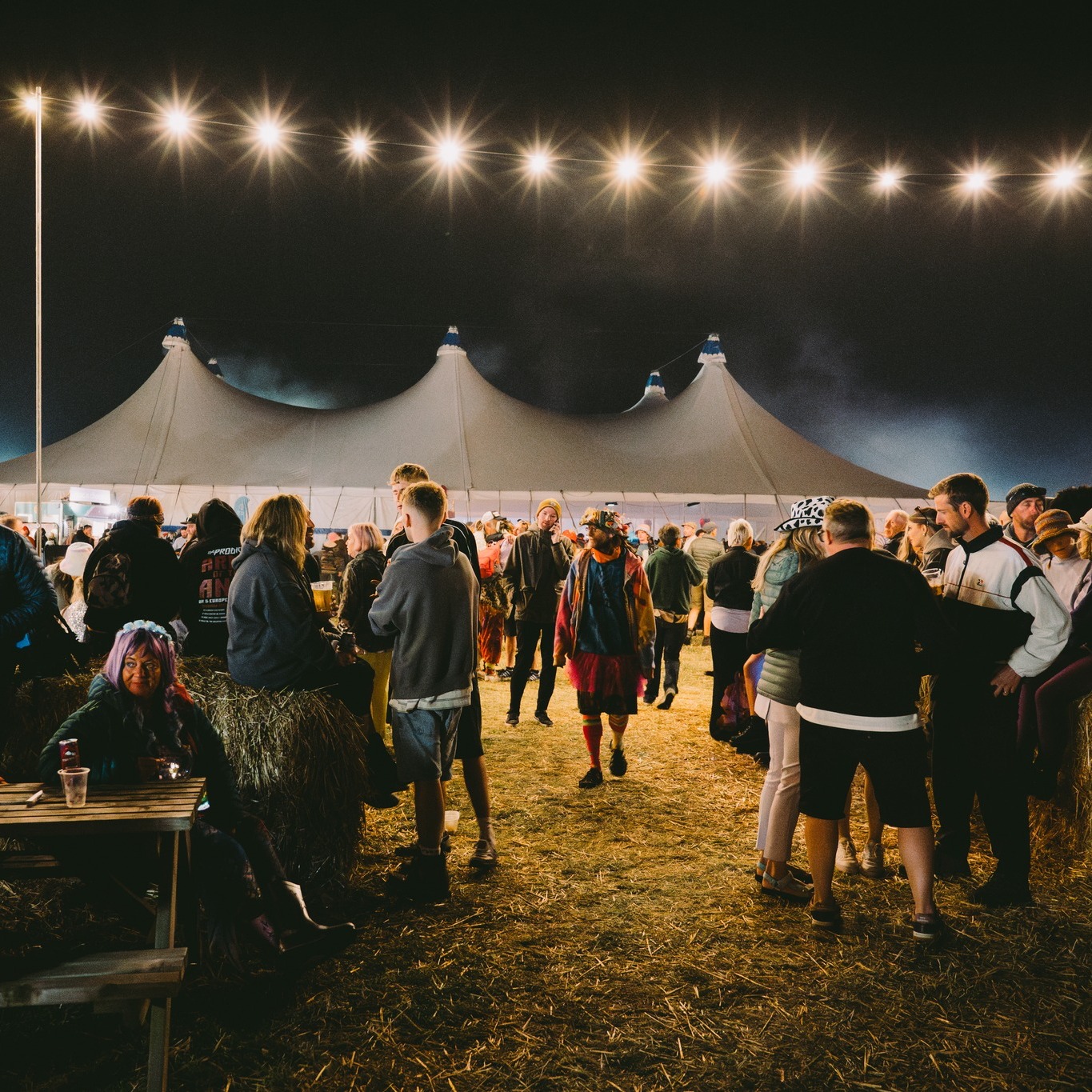 Lindisfarne Festival Facebook ad: Lindisfarne Festival 2026 is ALMOST SOLD OUT!