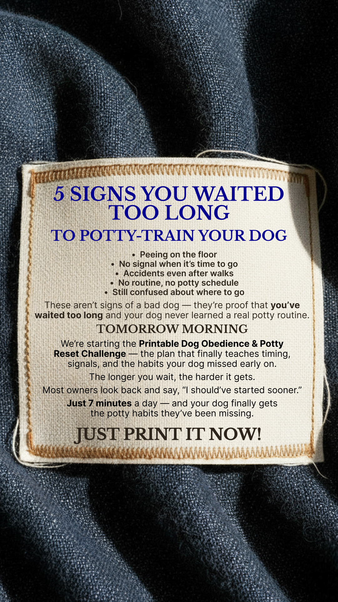 PawChamp Facebook ad