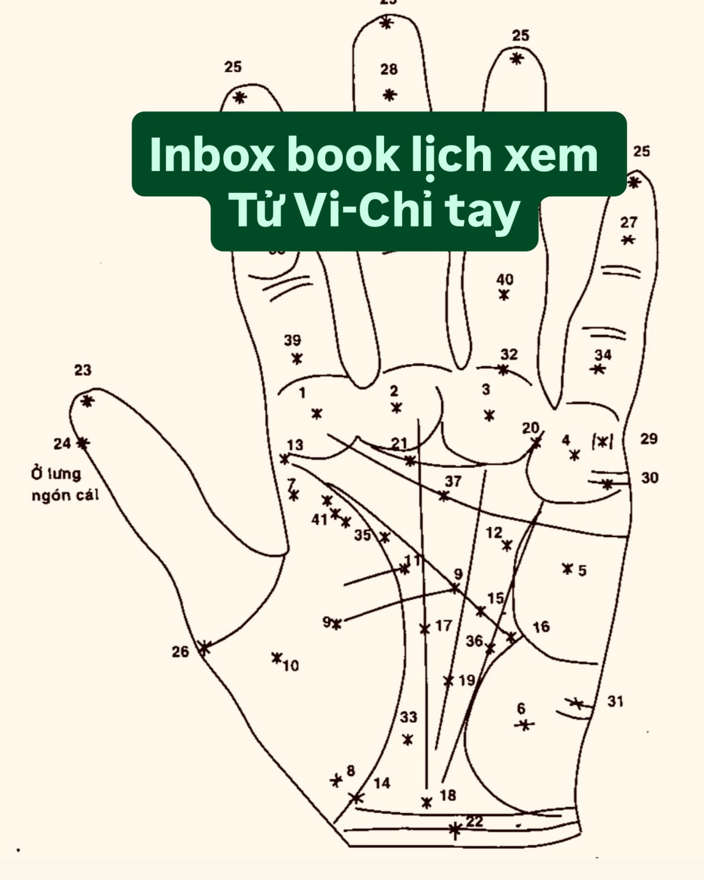 13 Facebook ad: Inbox book lịch xem Tử vi-Chỉ tay-Thần số…