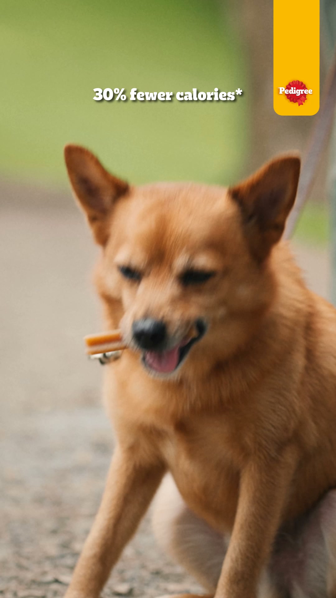 Pedigree UK Facebook ad: Help combat Bad Mouth daily