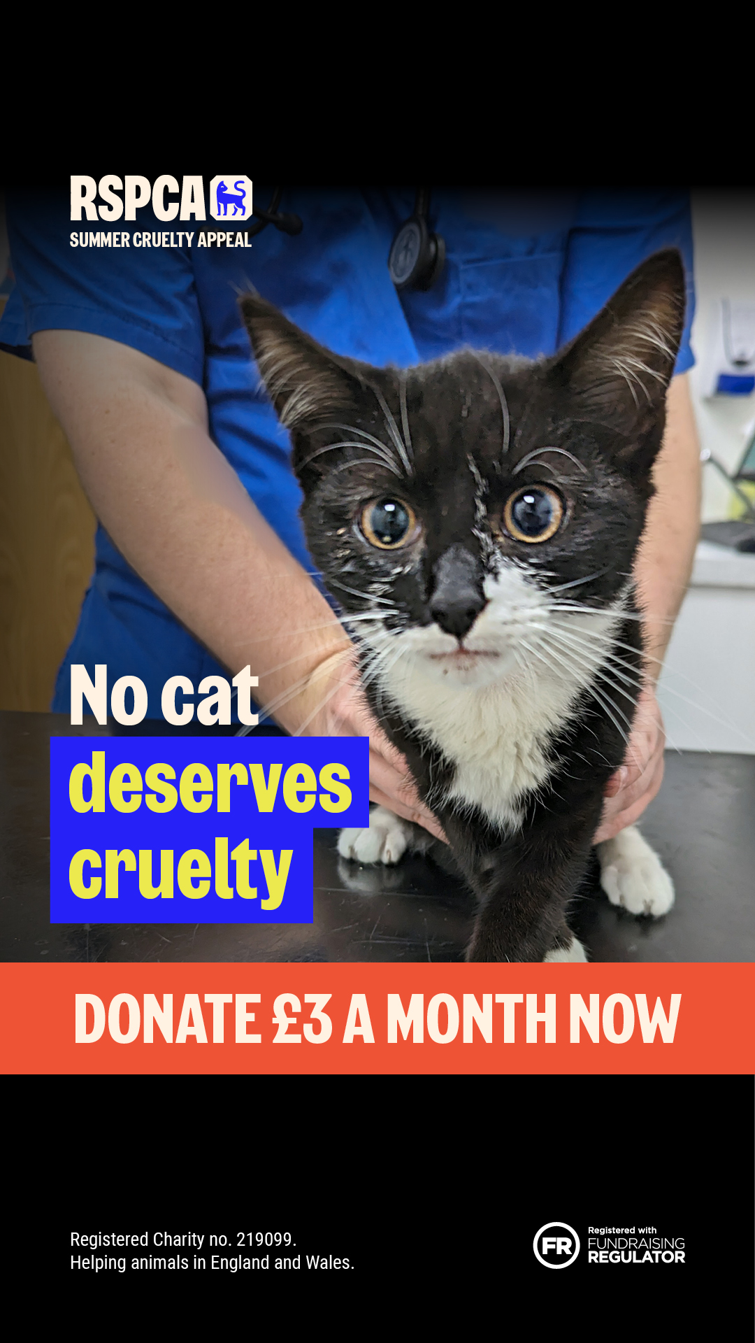 RSPCA (England & Wales) Facebook ad from Jun 29, 2026