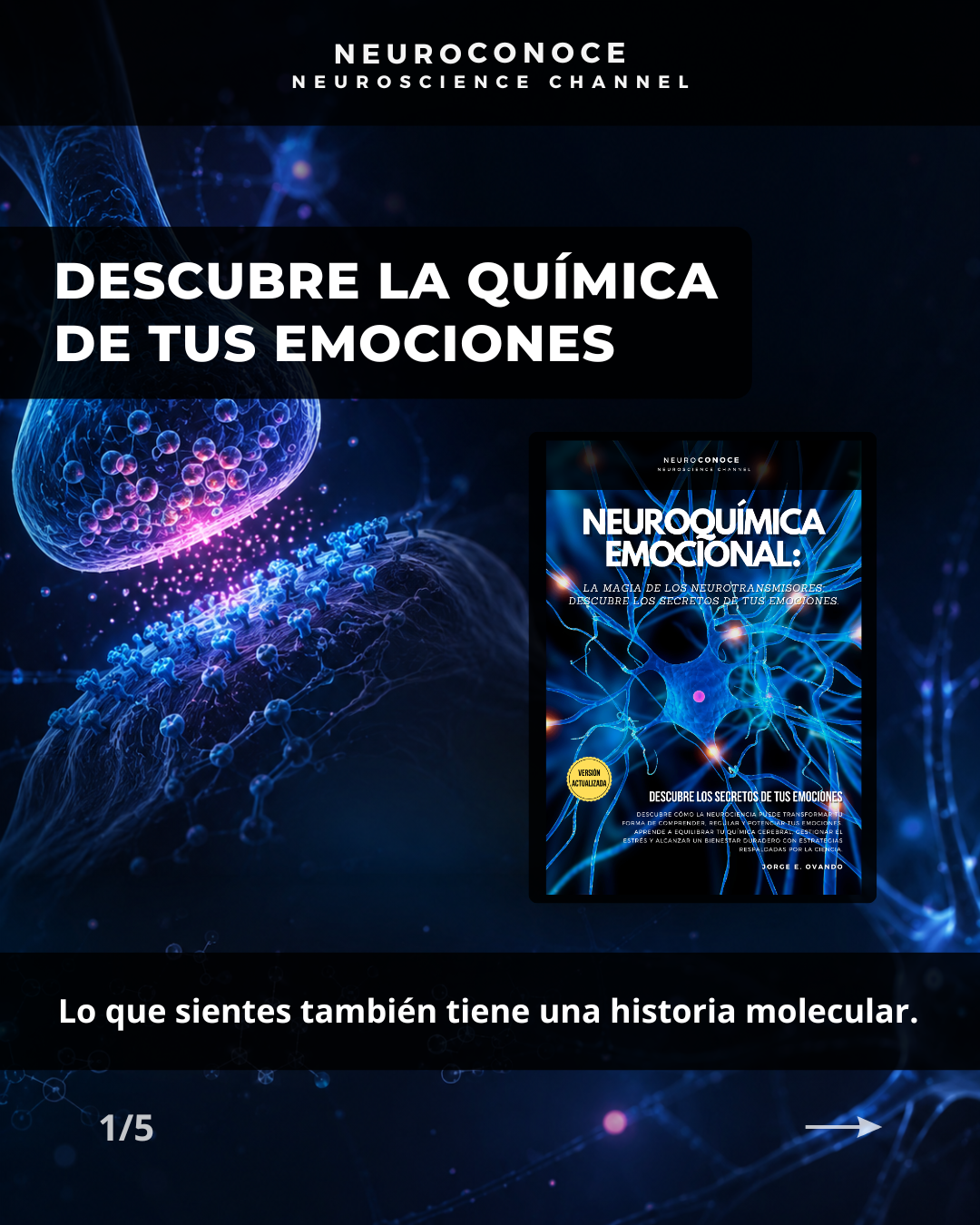 Neuroconoce Facebook ad: EL UNIVERSO DE LA NEUROCIENCIA: EL CEREBRO AL…