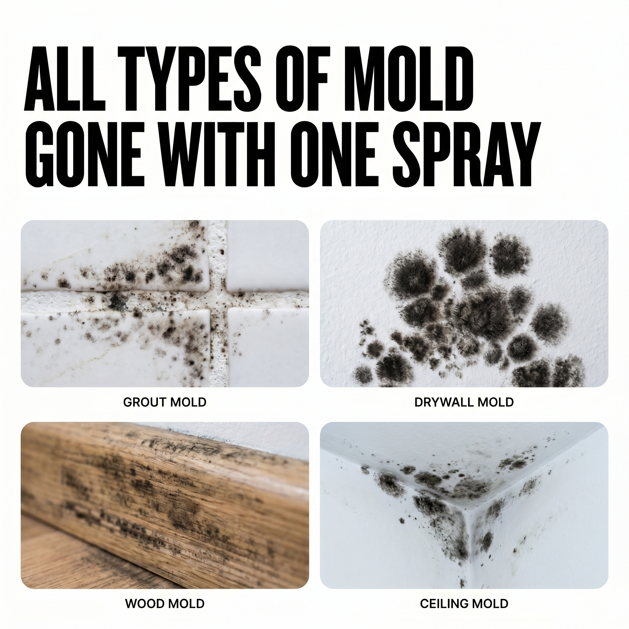 Mold MD Facebook ad