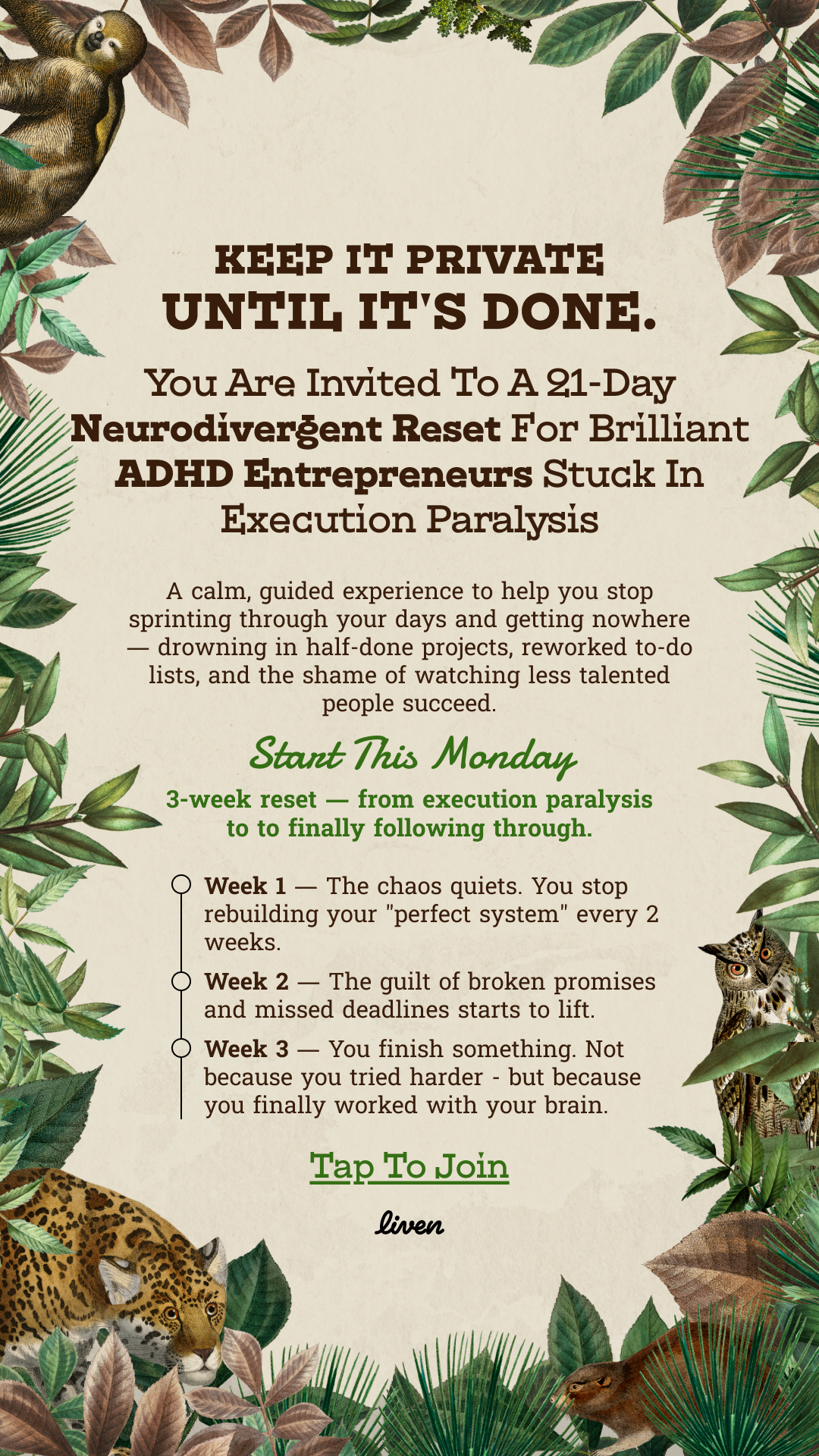 Liven: Train Your Brain to Switch Effortlessly Facebook ad: ADHD Is OK, But Ignoring the Self-Sabotage Isn’t!