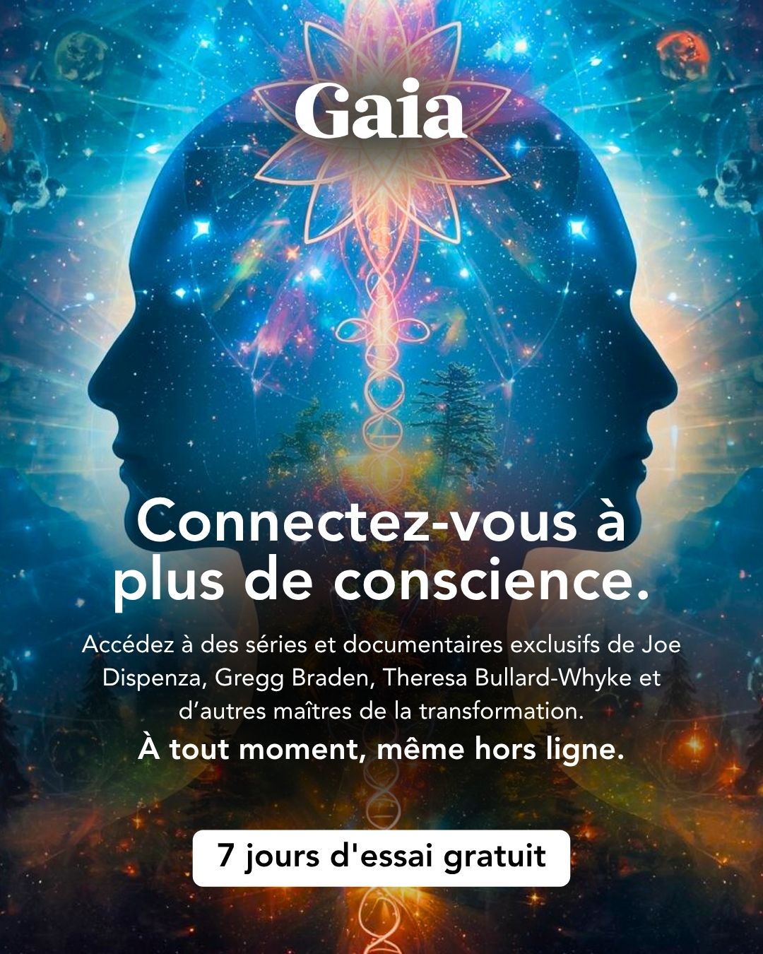 Nous Sommes Gaia Facebook ad