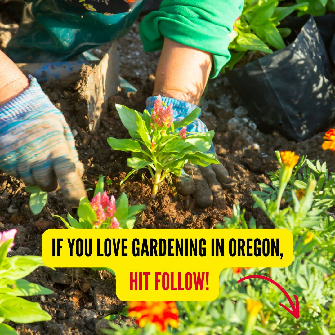 Oregon Gardener Facebook ad from Apr 9, 2026