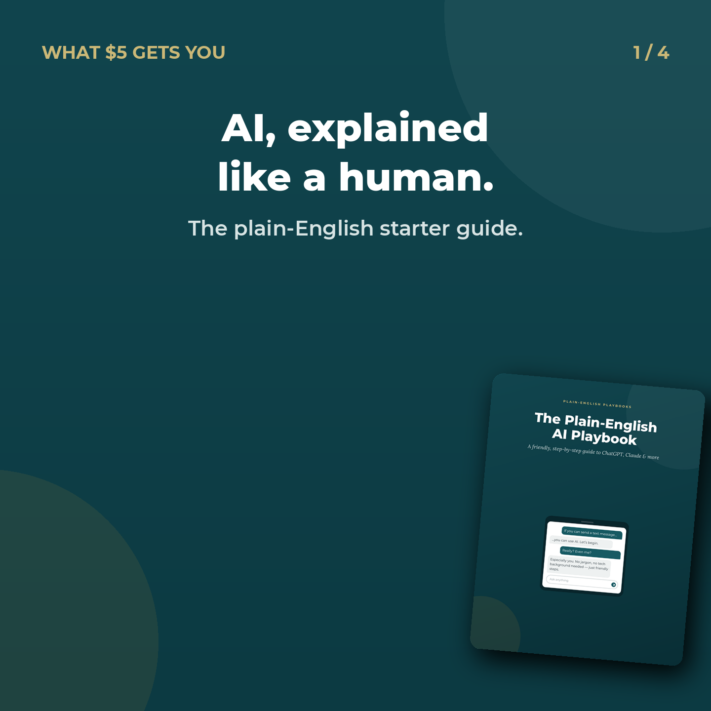 Plain-English Playbooks Facebook ad: Three reasons this $5 AI guide exists.