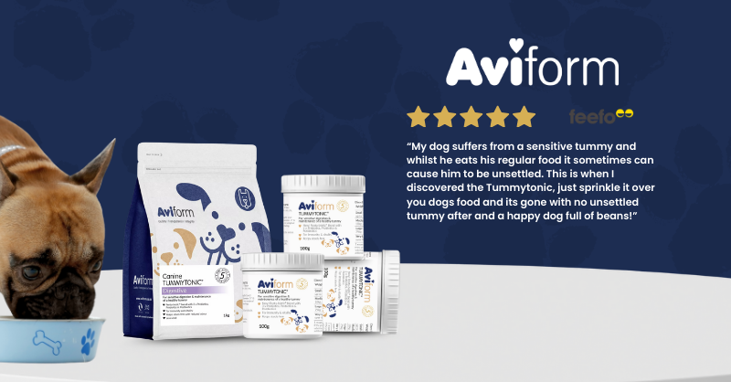 Aviform Nutrition UK - Horse & Dog Facebook ad