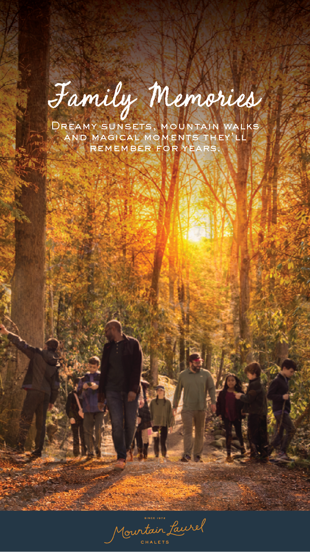 Mountain Laurel Chalets Facebook ad from Feb 4, 2026