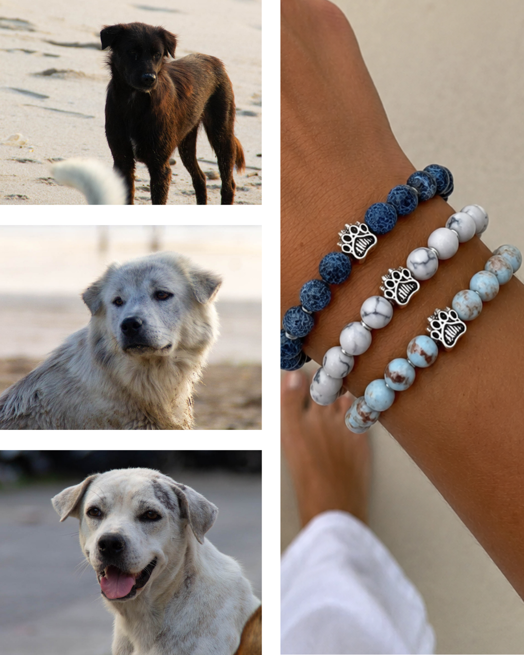 Rescue Paws Facebook ad
