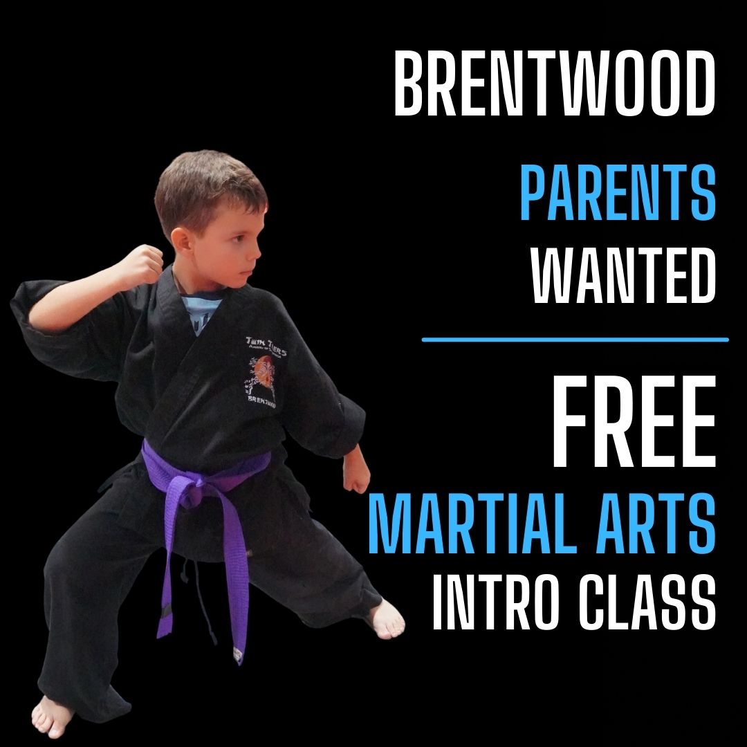 Twin Tigers Academy of Self Defense Facebook ad