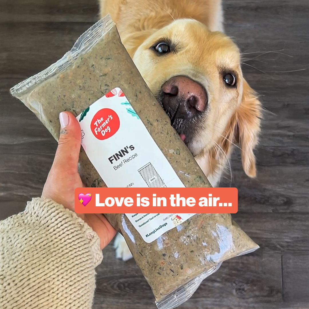 The Farmer's Dog Facebook ad