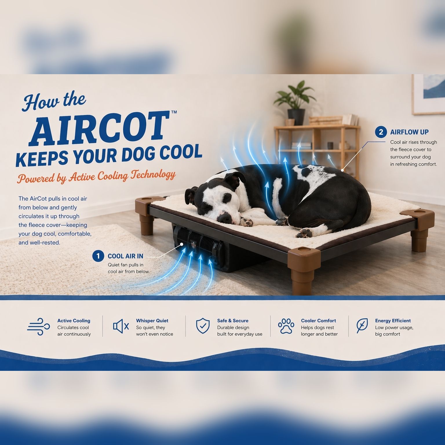 The Petcot Co. Facebook ad
