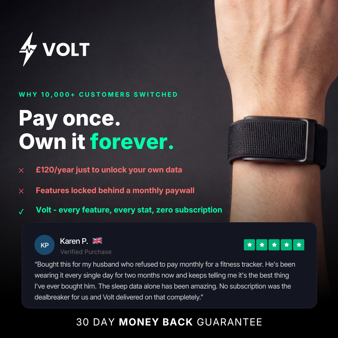 Volt UK Facebook ad