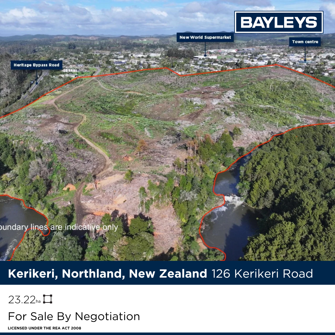 Bayleys Real Estate Facebook ad