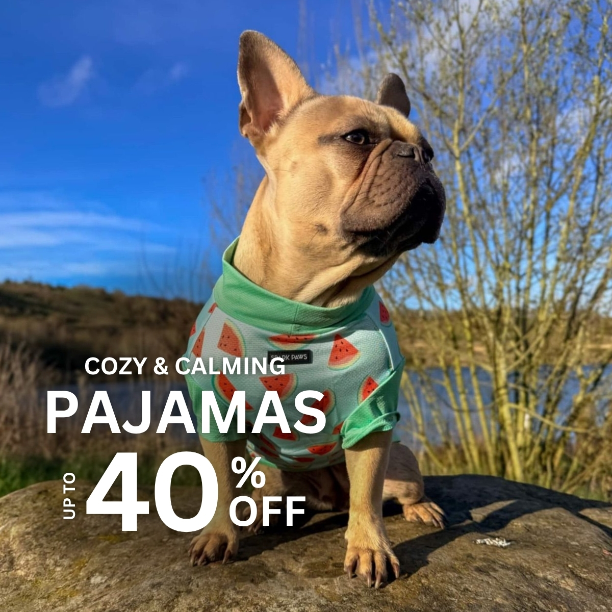 Spark Paws Facebook ad