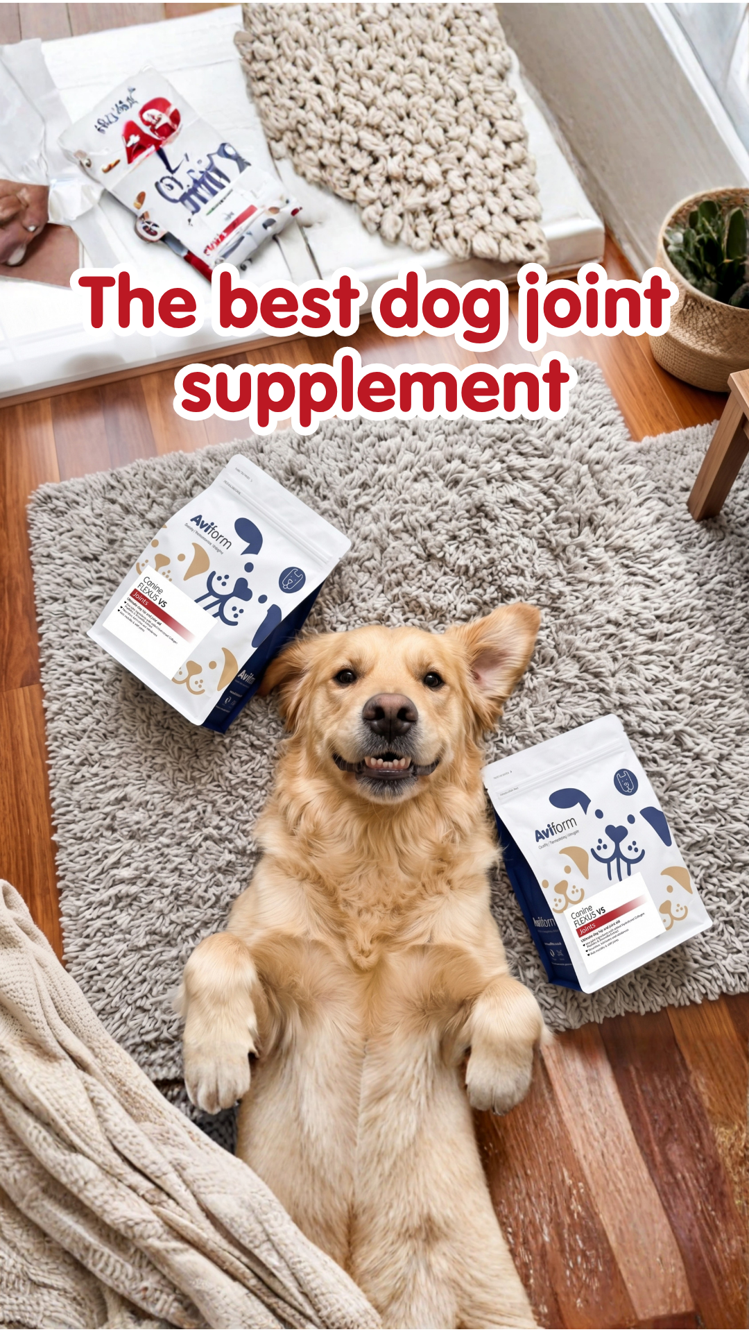 Aviform Nutrition UK - Horse & Dog Facebook ad