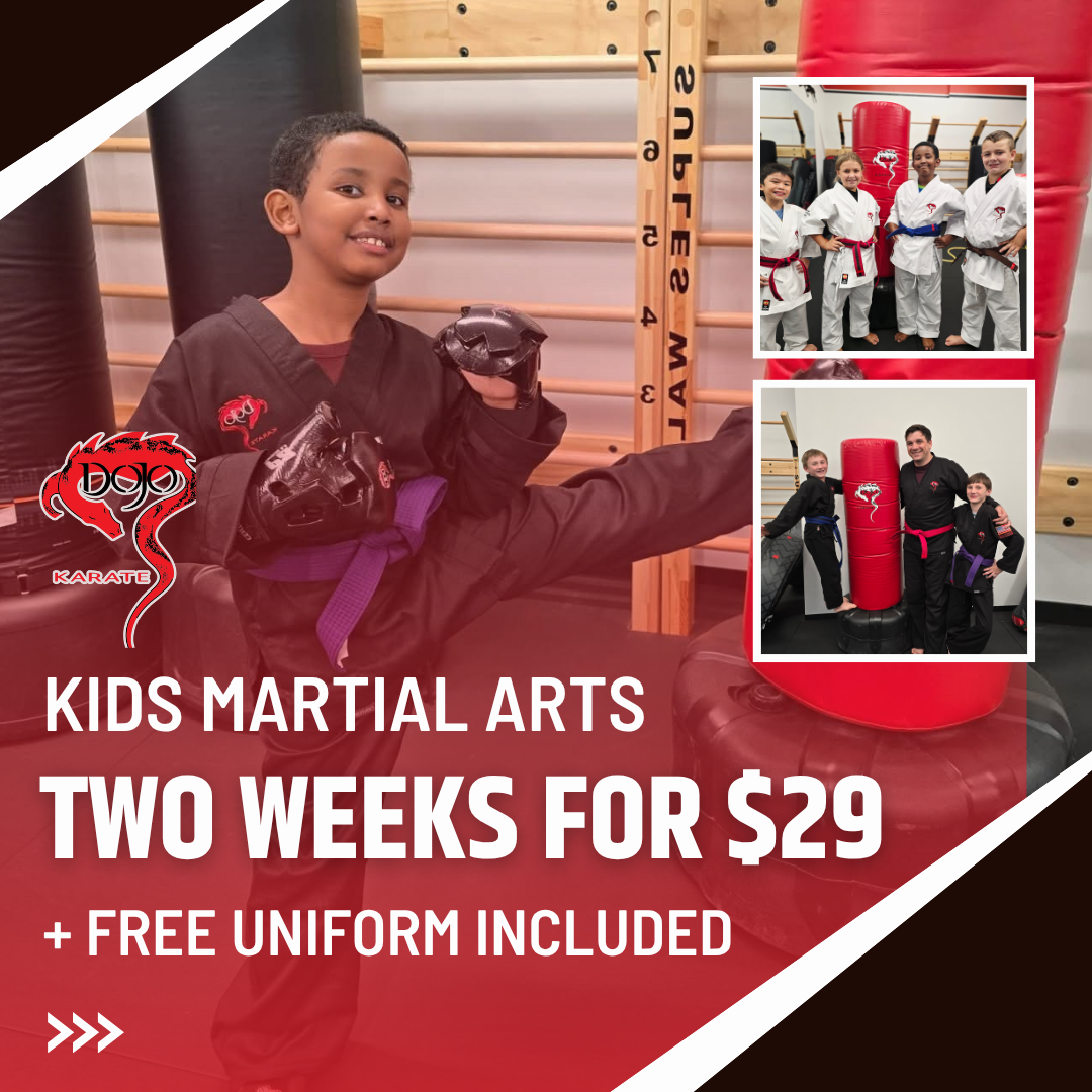 Dojo Karate Eden Prairie  Facebook ad
