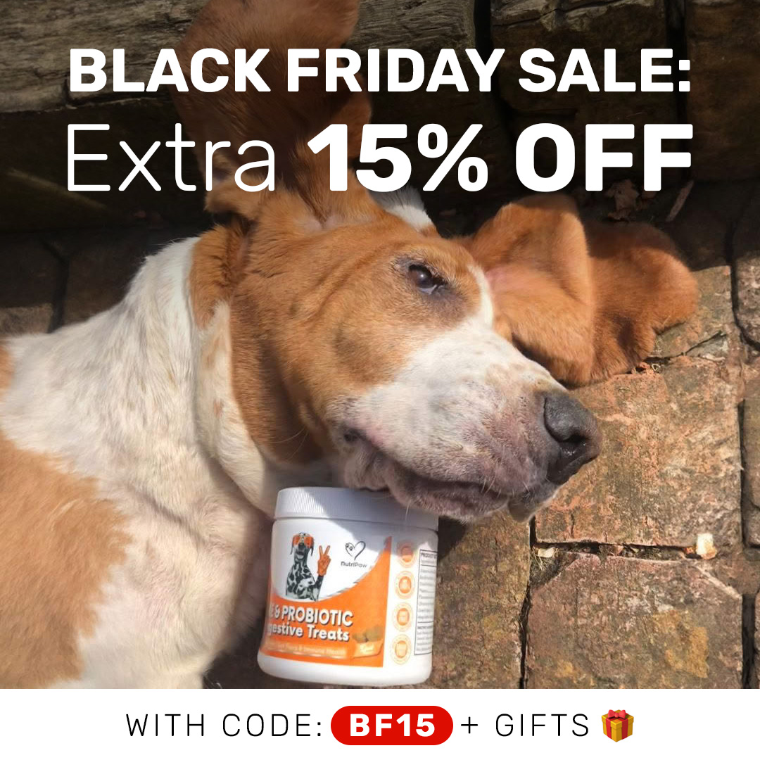 Healthy Dog 24/7 Facebook ad