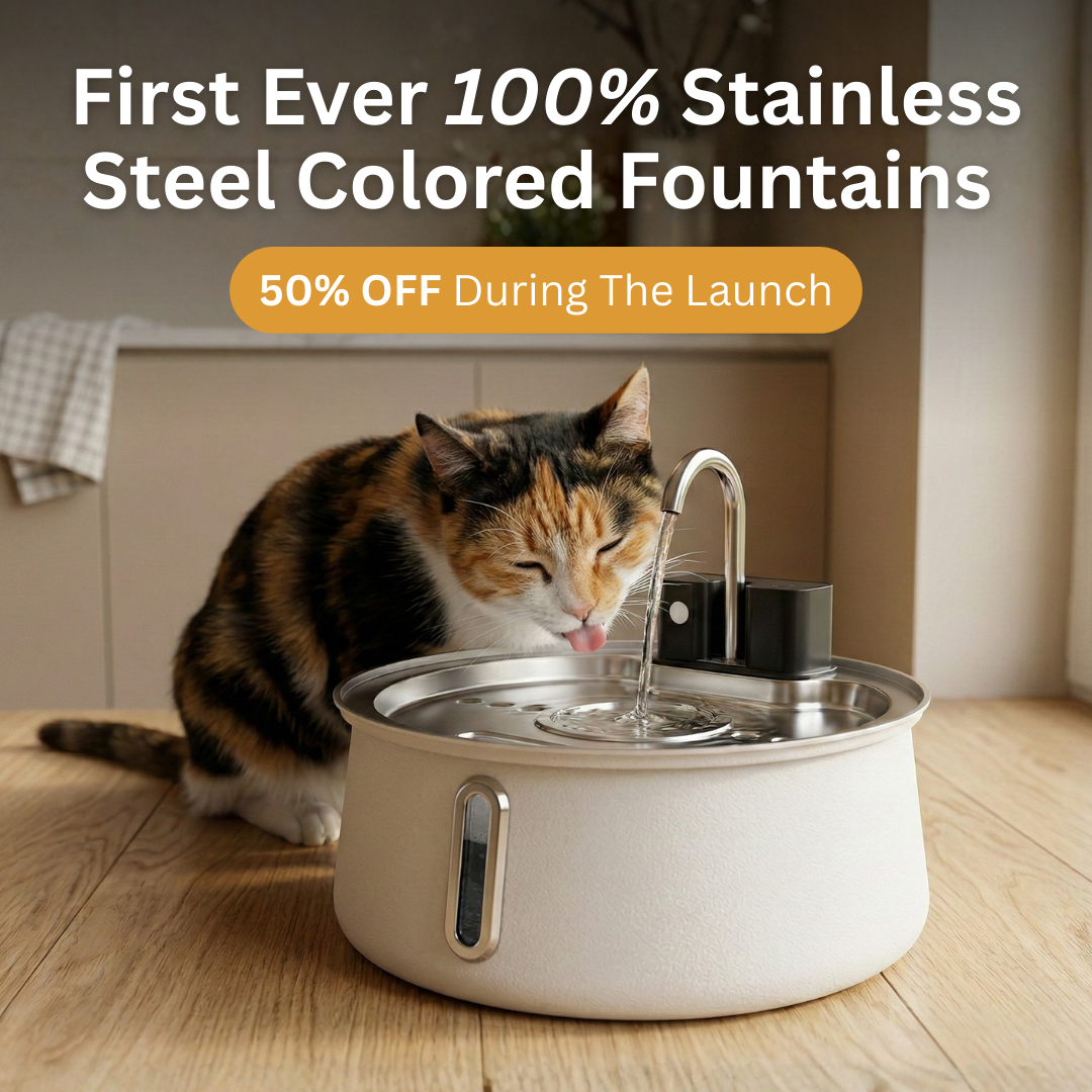 KittySpout Facebook ad