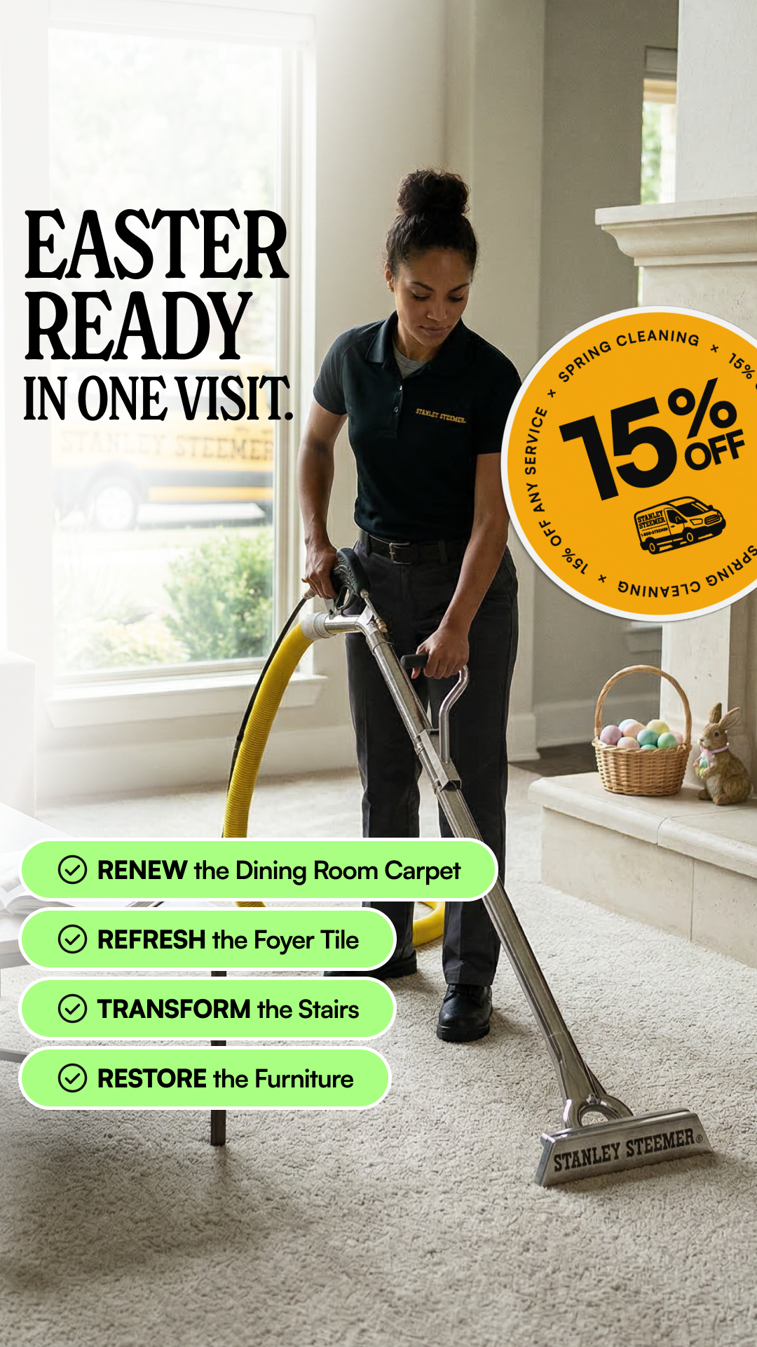 Stanley Steemer Facebook ad