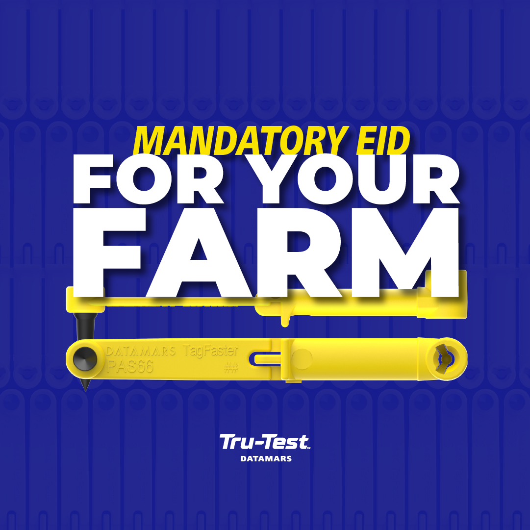 Datamars Livestock AU Facebook ad: Colour to EID