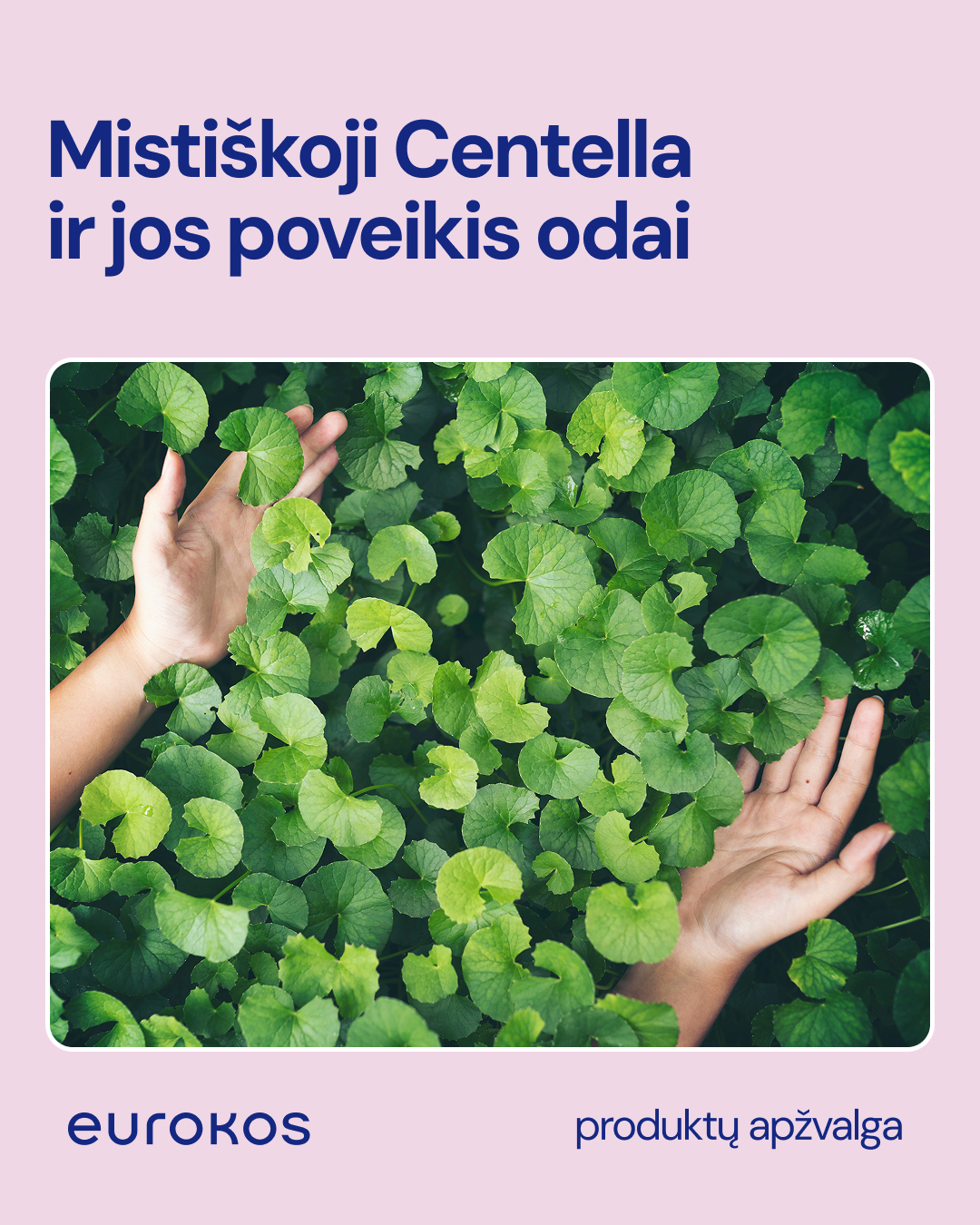 EUROKOS Facebook ad