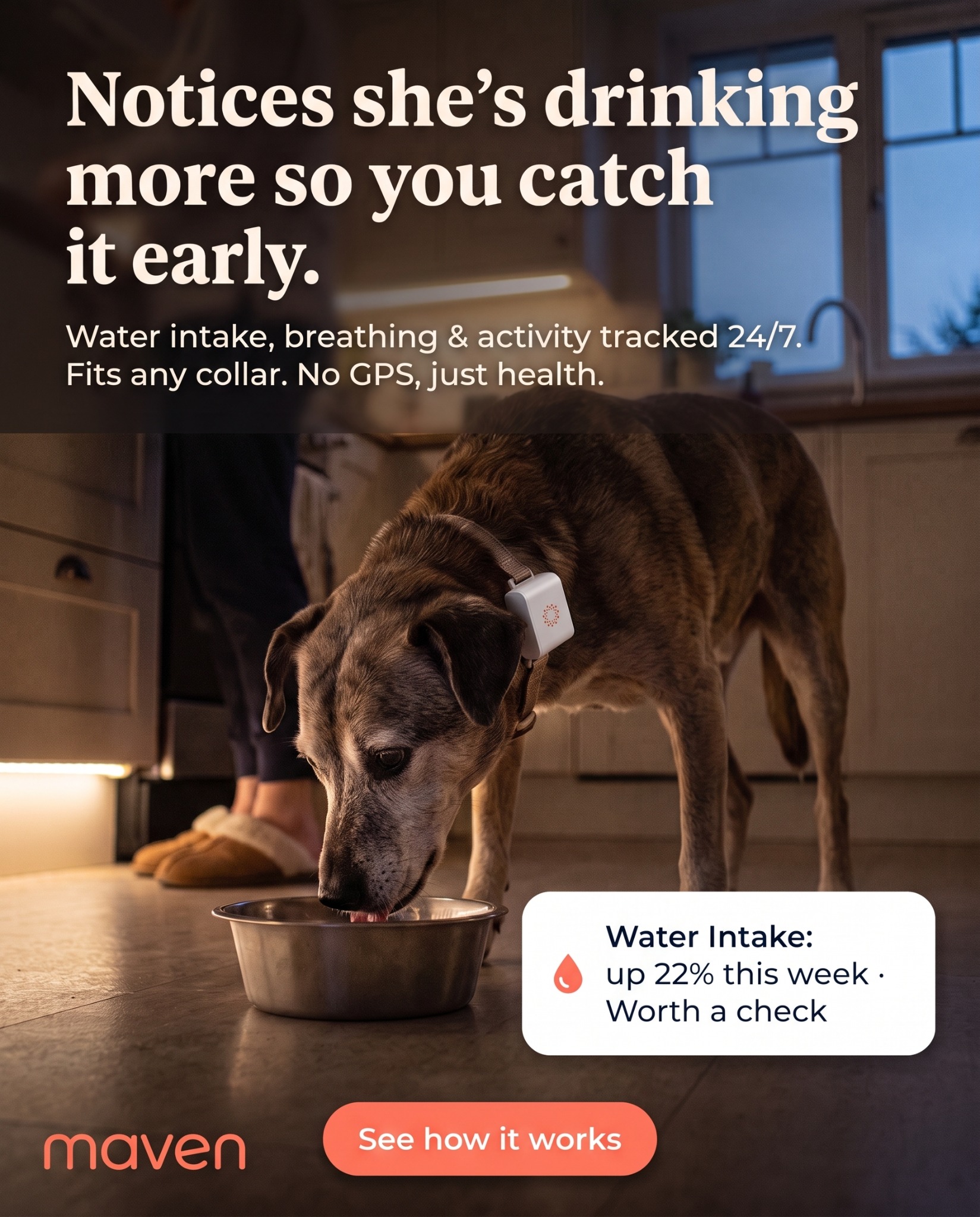 Maven Pet Facebook ad
