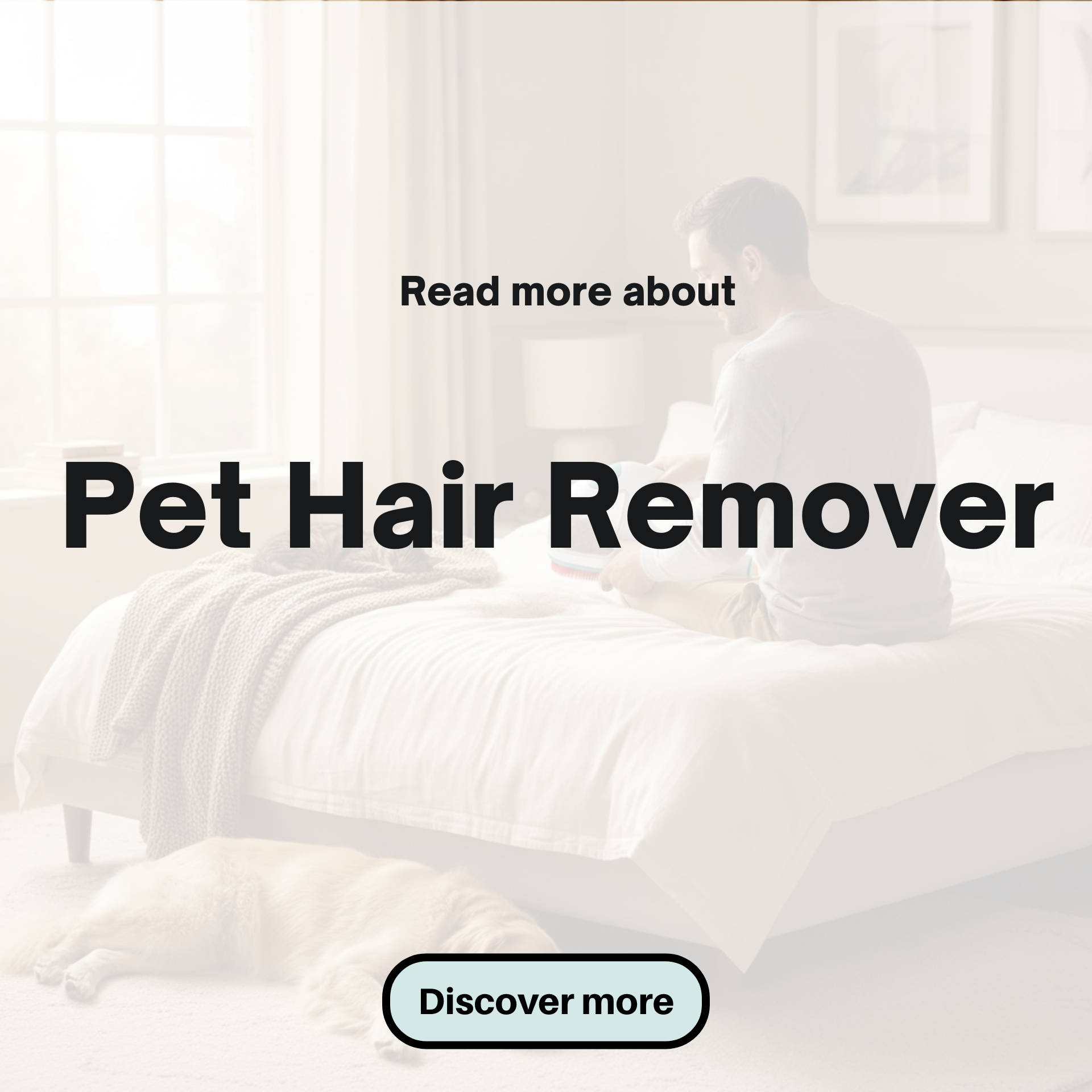Lucas Updates Facebook ad: Inside The World Of Pet Hair Removers