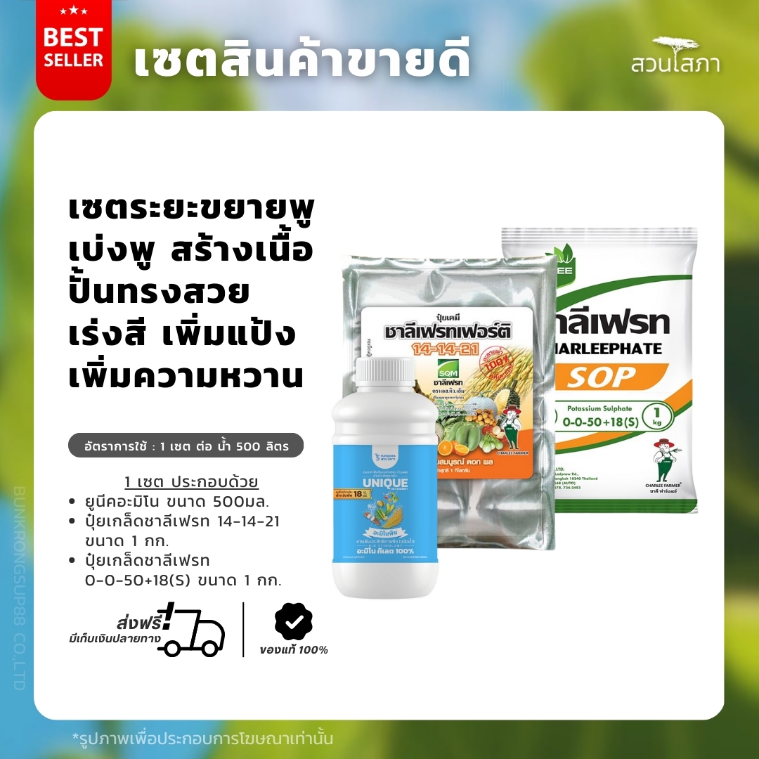 สวนโสภา Facebook ad