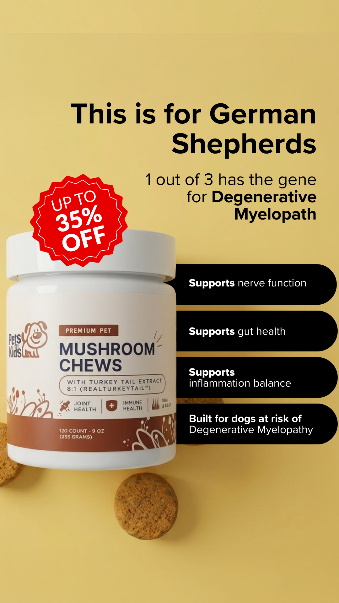 The Holistic Hound Facebook ad from Jun 30, 2026
