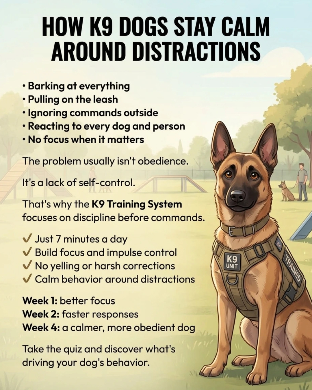 Ben Your Puppy Trainer Facebook ad