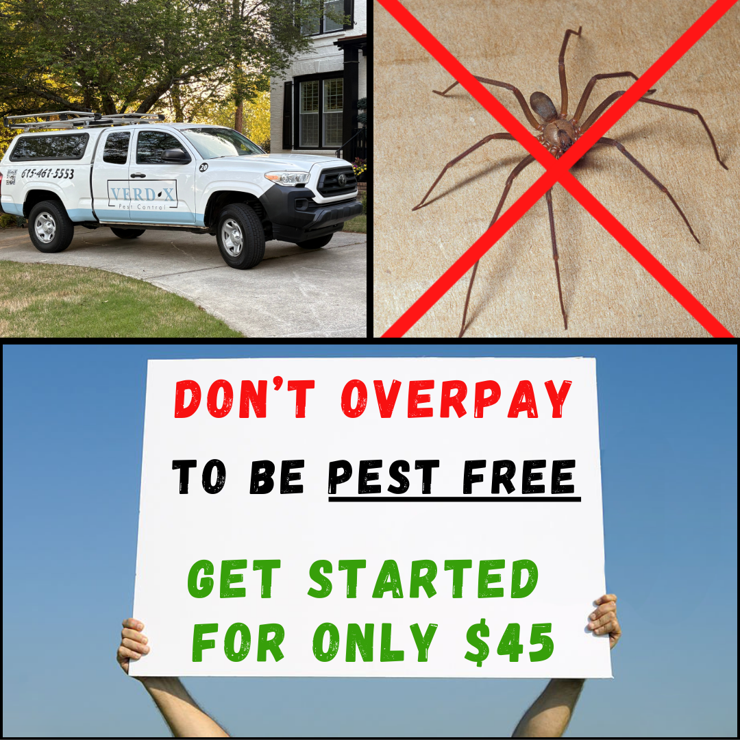 VerdX Pest Control Facebook ad