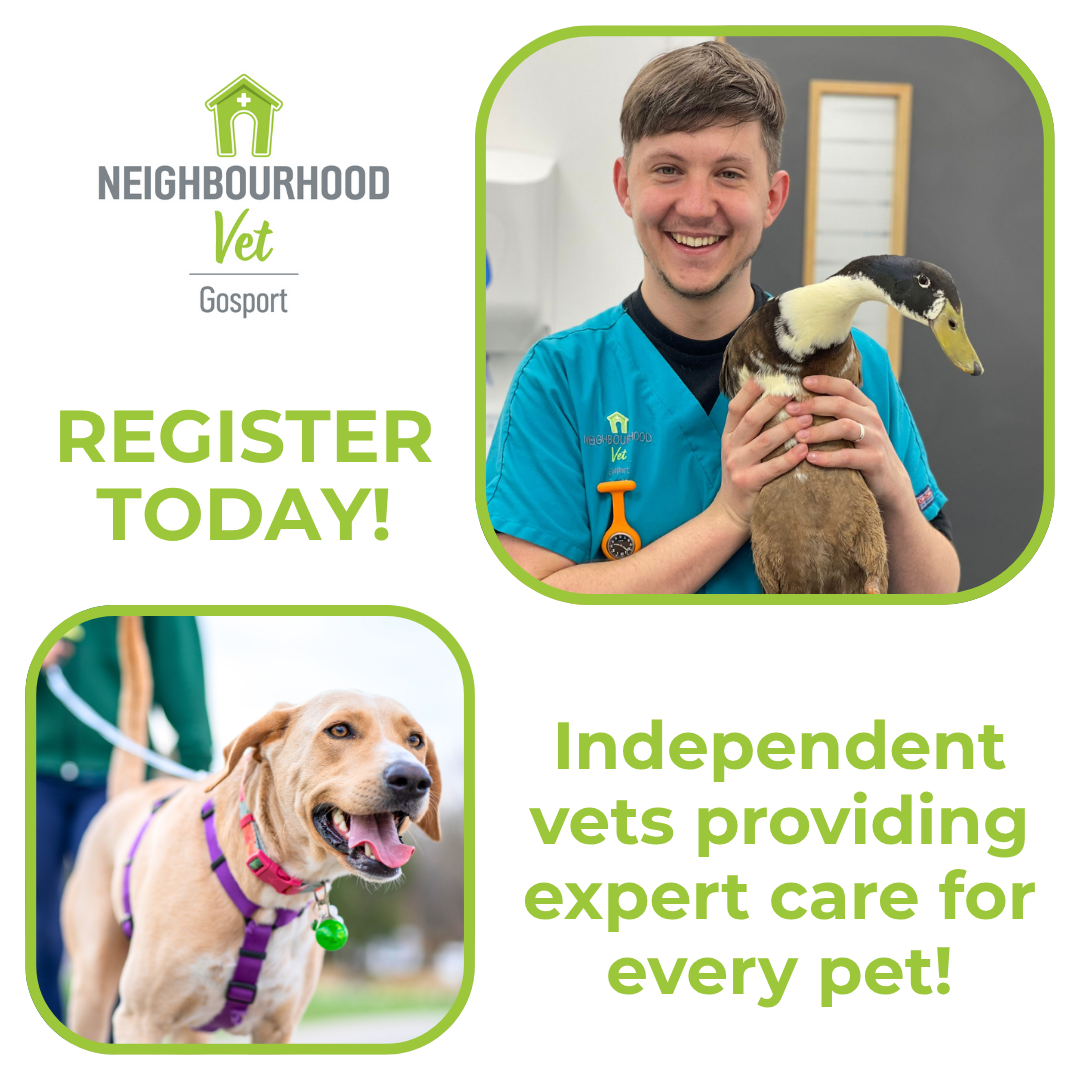 Neighbourhood Vet Gosport Facebook ad