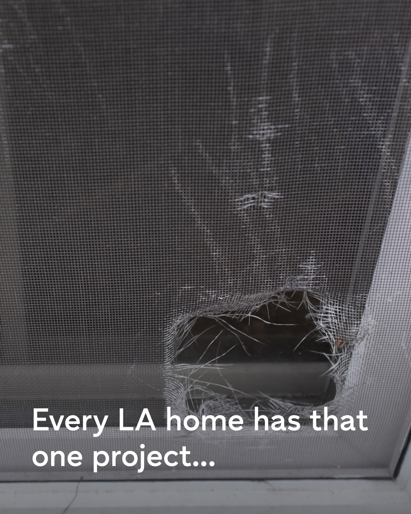 Thumbtack Facebook ad
